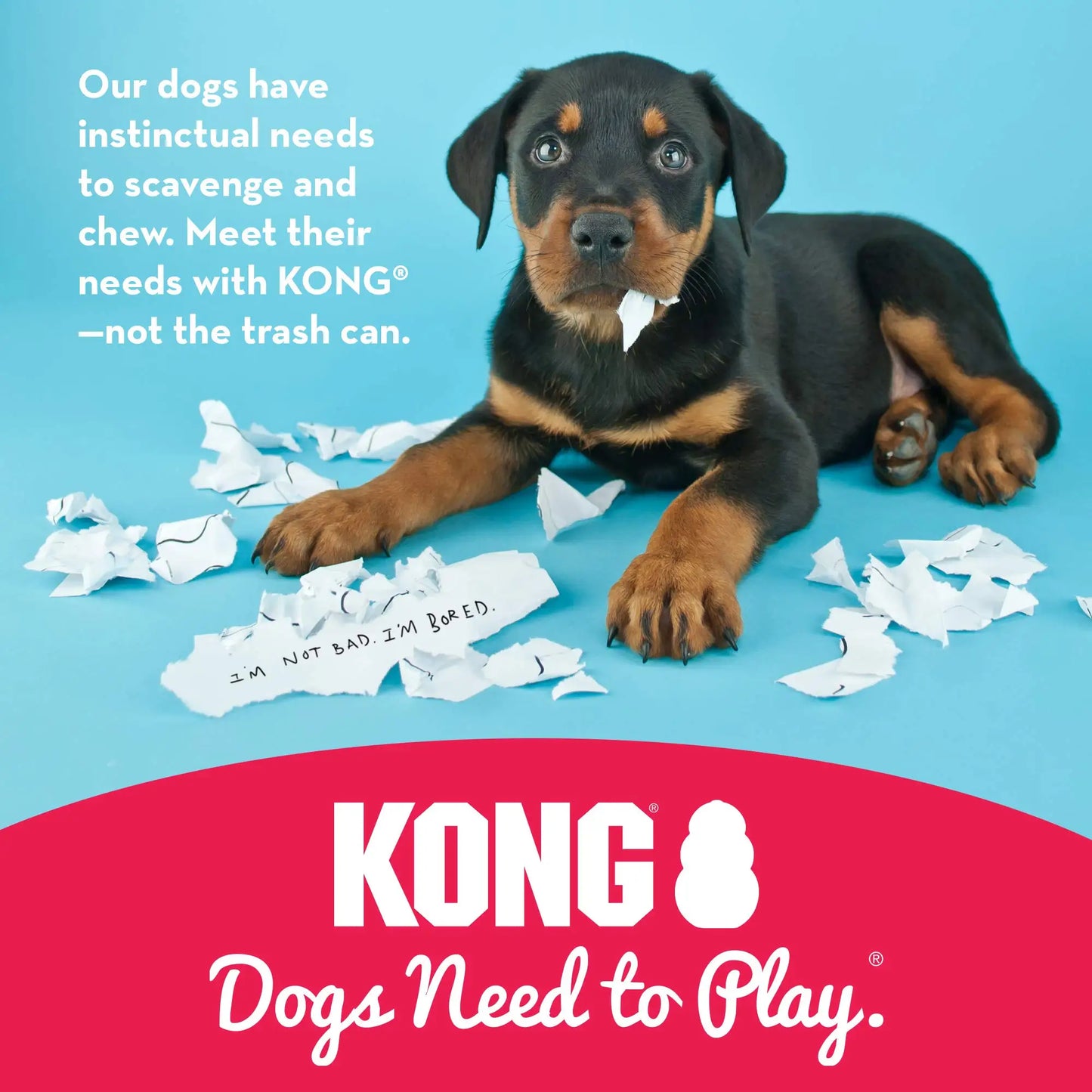 KONG Puppy - Natural Teething Rubber Chew Toy for Dogs