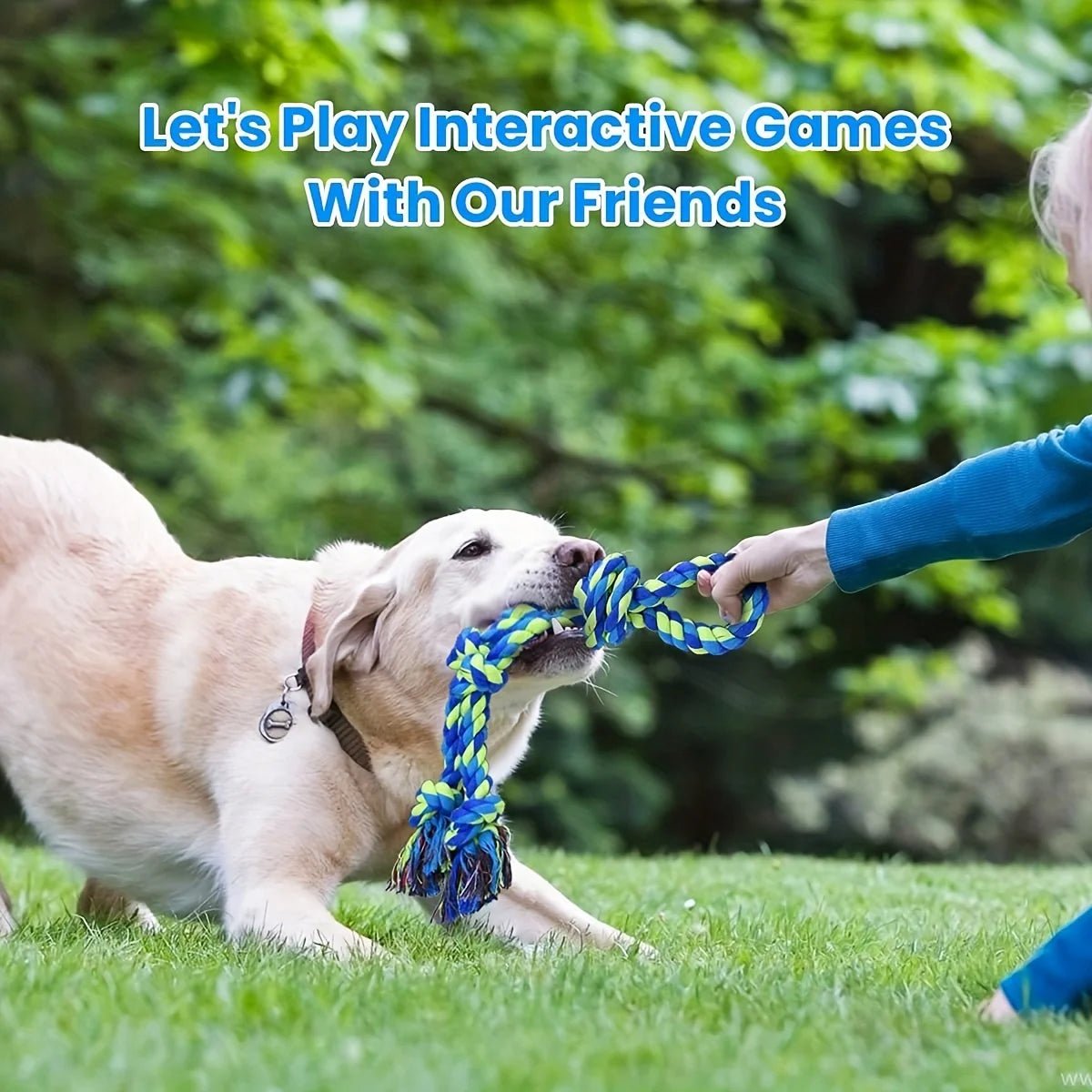Knot Dog Toys