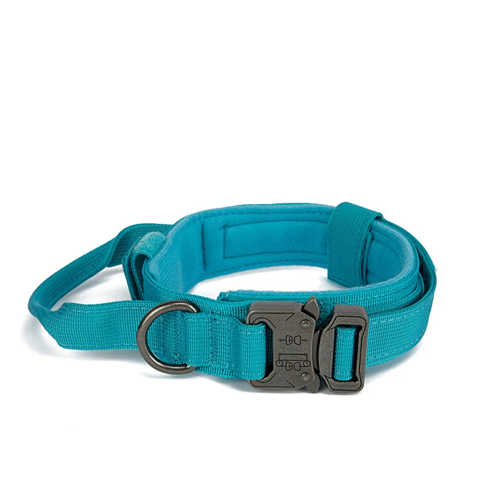 Pet Dog Collar with leash