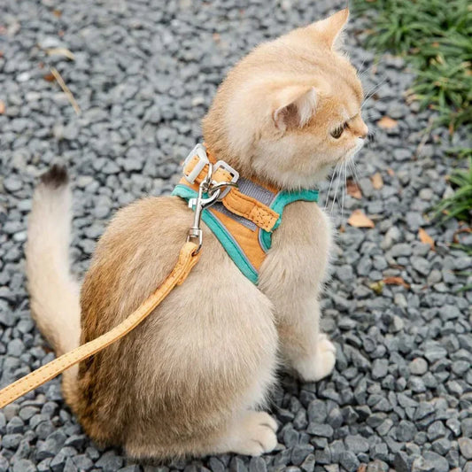 Cat Harness Leash Set for small pets