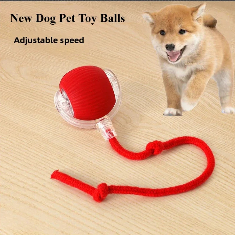 Rechargeable Pet Interactive Automatic Rolling ball
