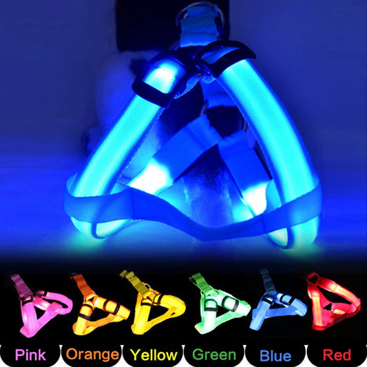 Adjustable LED Dog Harness No Pull