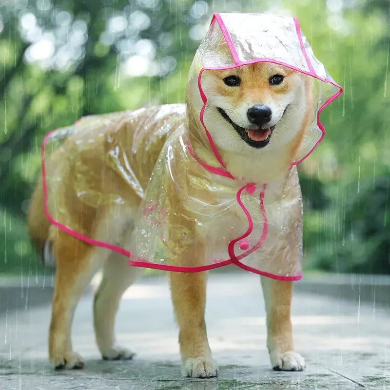 Pet Dog Puppy Transparent Rainwear Raincoat Pet