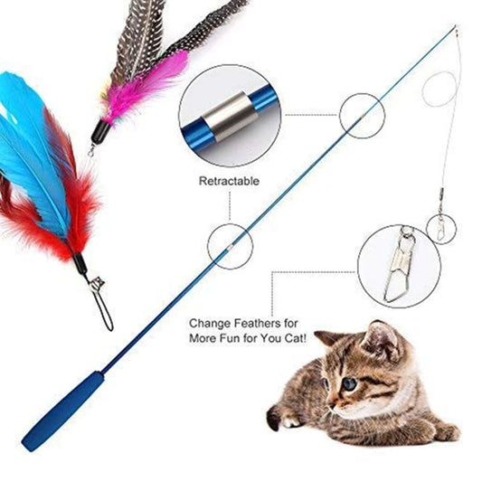 Pet Cat teaser toy