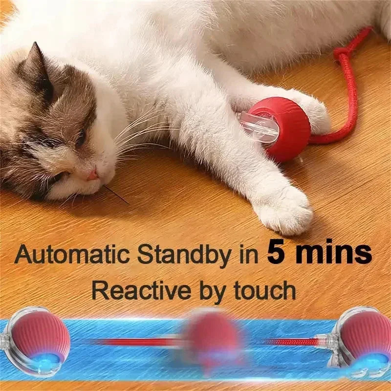 Rechargeable Pet Interactive Automatic Rolling ball