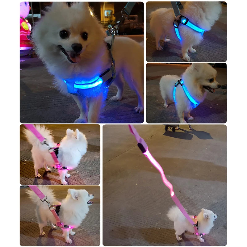 Adjustable LED Dog Harness No Pull