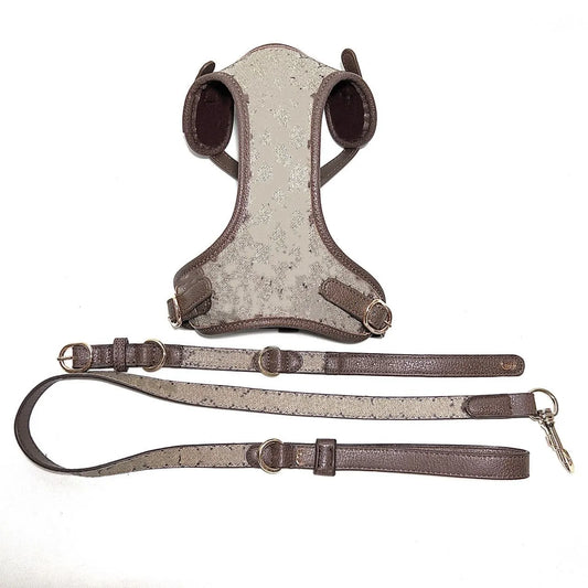 dog harness leash collar set