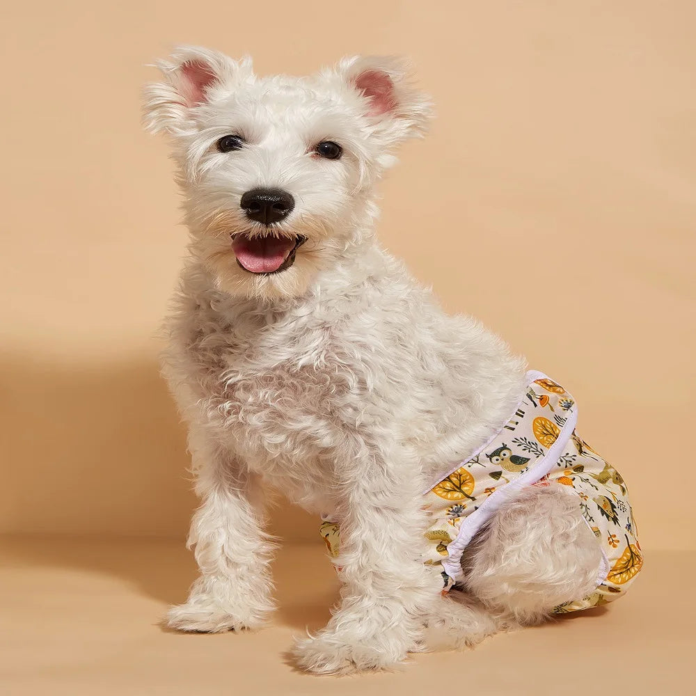 1/3pcs Washable Female Dog Diapers Size Adjustable Pet Physiological Pant for Female Dog Period Reusable Dog Panties RandomColor