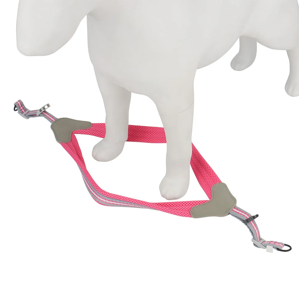 Vest Style Dog Harness Leash Set
