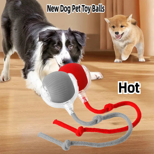 Rechargeable Pet Interactive Automatic Rolling ball