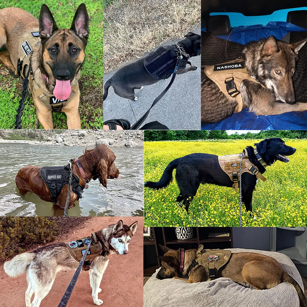 Tactical Dog Harness Leash Set for dogs on pull
