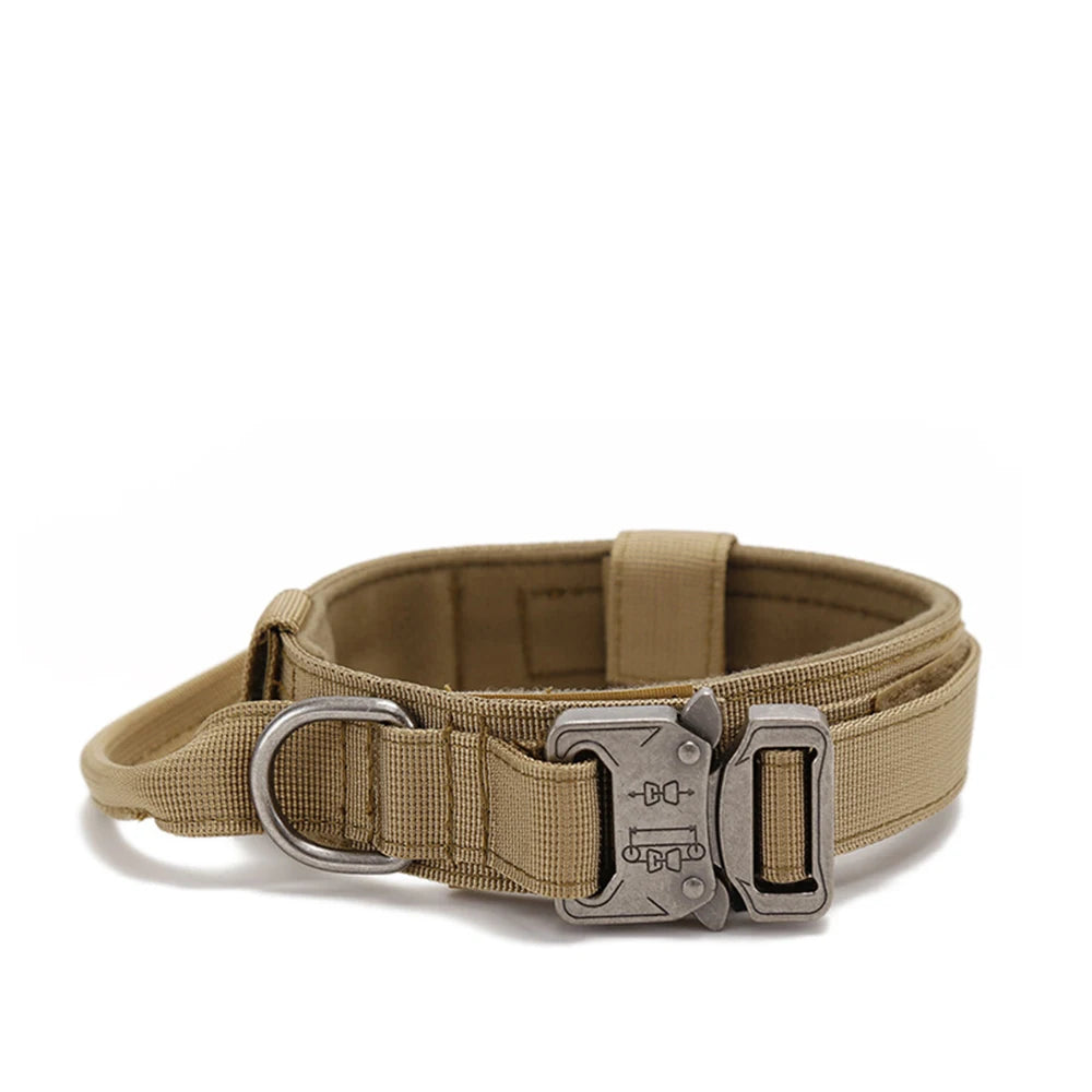 Pet Dog Collar with leash