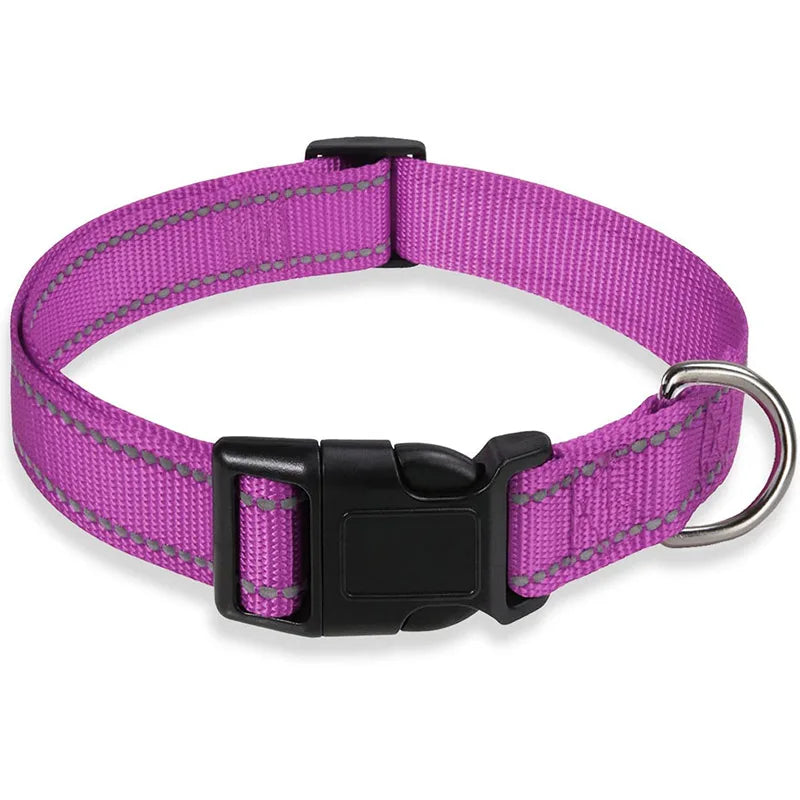 Reflective Dog Collar Strap