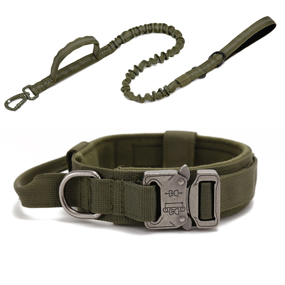 Pet Dog Collar with leash