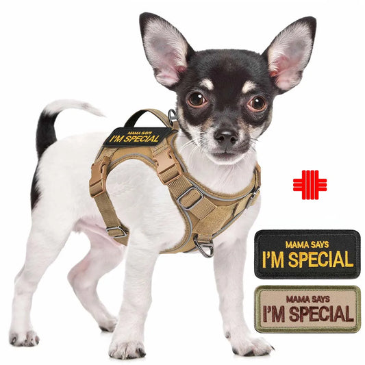 Tactical Dog Harness